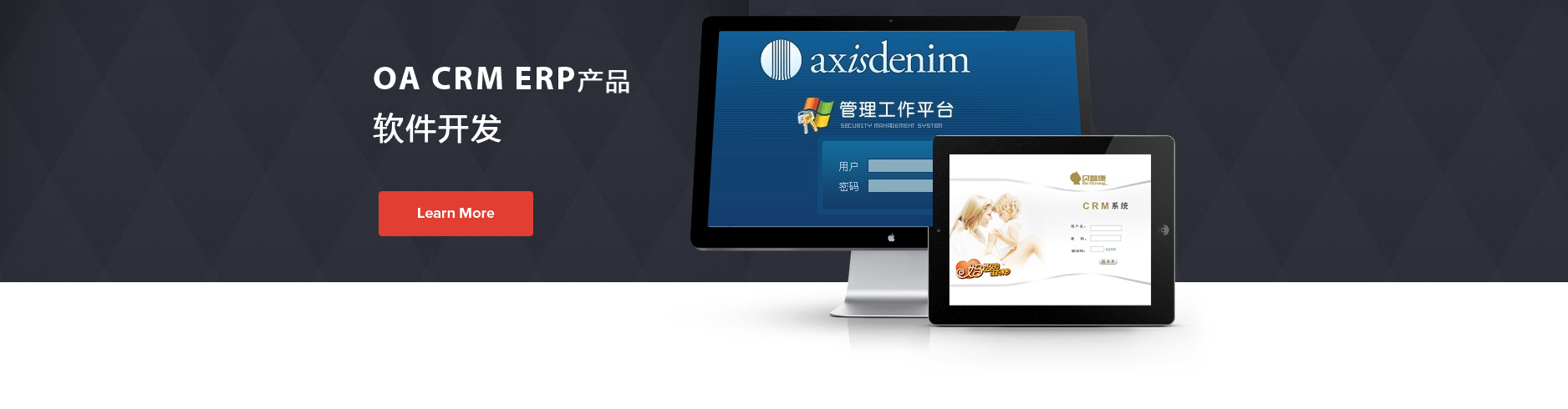 軟件開發