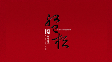 上海盤桓投資管理有限公司